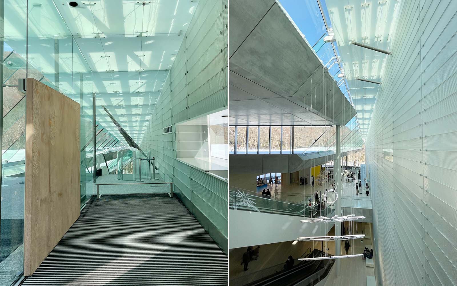  ポーラ美術館｜箱根の森に佇む光豊かな美術館｜建録 TATE-ROKU Illustration 