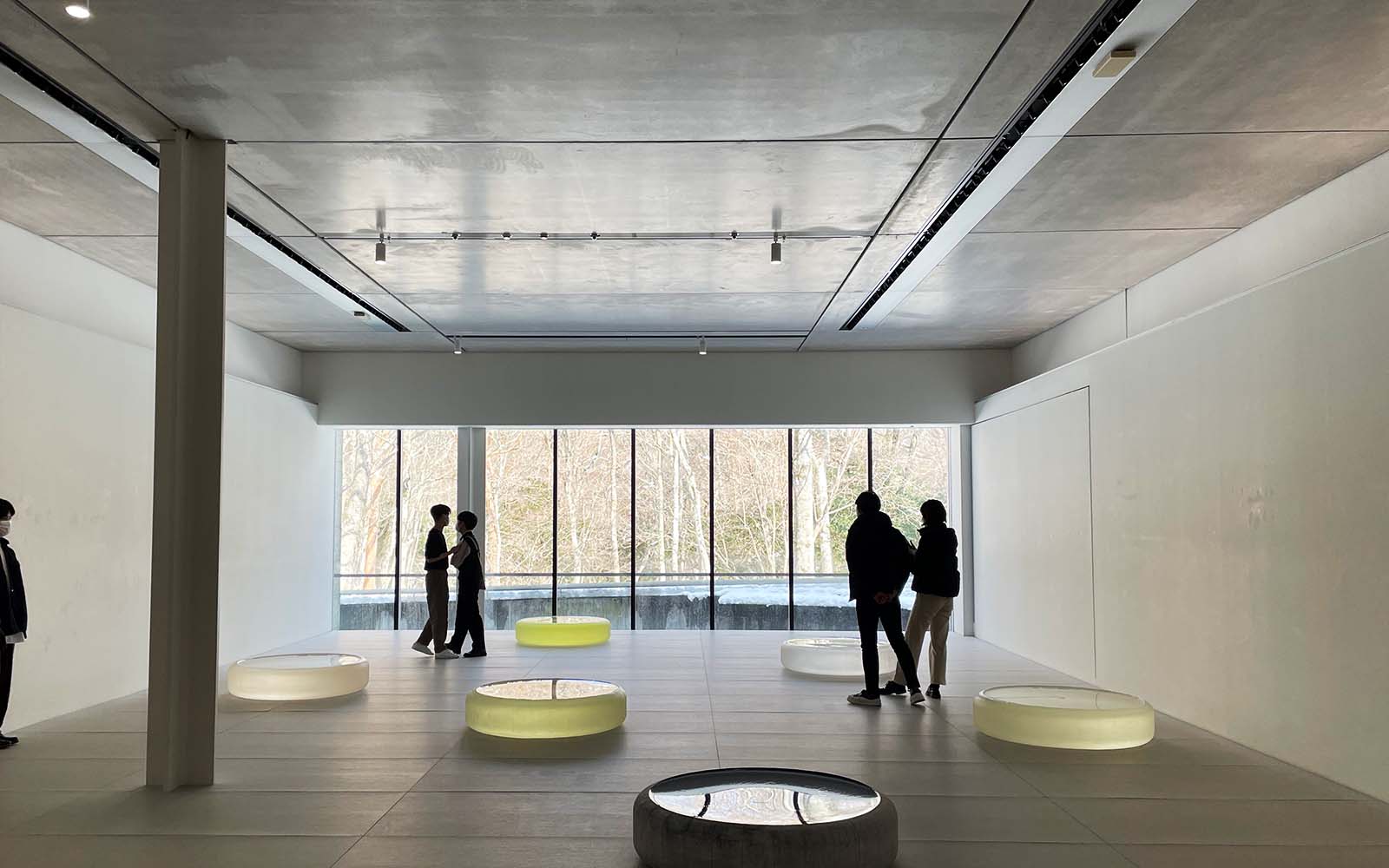  ポーラ美術館｜箱根の森に佇む光豊かな美術館｜建録 TATE-ROKU Motiv 
