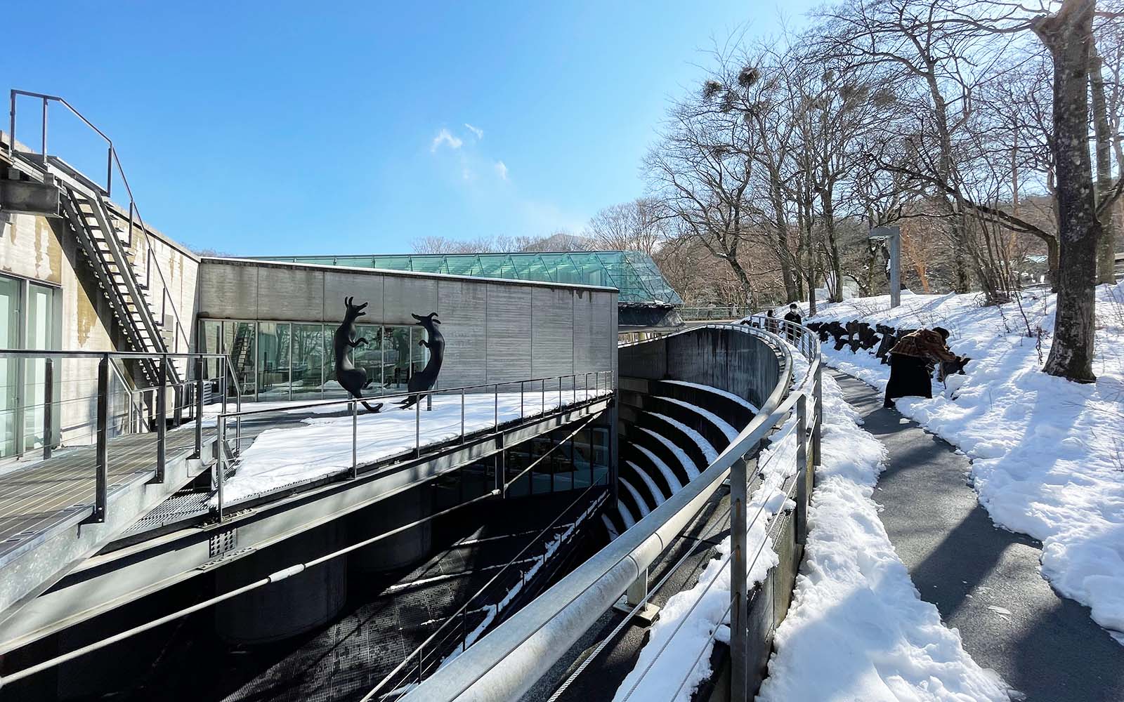  ポーラ美術館｜箱根の森に佇む光豊かな美術館｜建録 TATE-ROKU Motiv 