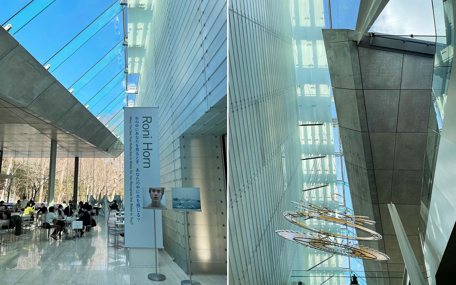  ポーラ美術館｜箱根の森に佇む光豊かな美術館｜建録 TATE-ROKU Motiv 