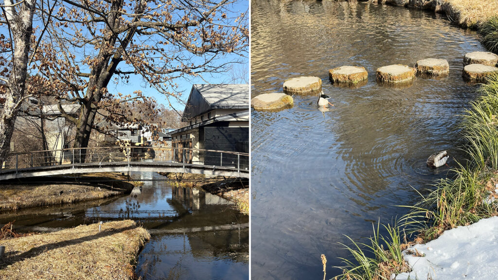 太鼓橋や飛び石など、水景を楽しむ様々な設え。敷地には鴨も暮らしていた